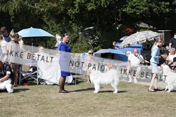 181848_kar_01__62_1898.JPG