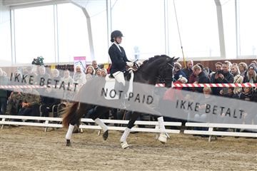 174363_kbb_01_R6II7948.JPG
