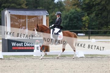 181894_mtp_01_R62_0428.JPG