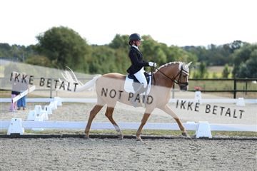 181894_mtp_02_R62_1909.JPG