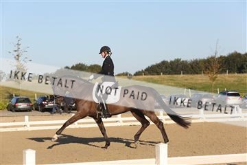148862_sg_01_IMG_2351.JPG