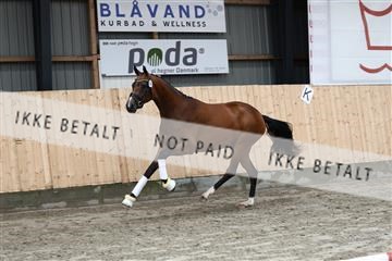 181757_avh_01_5578.JPG
