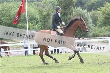 5925_ma_05_IMG_0648.JPG
