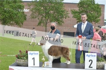 168981_bkn_01__MHR0211.JPG