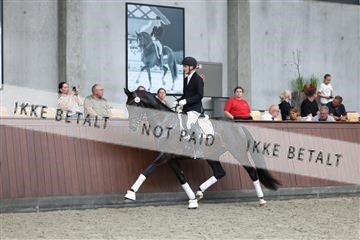 181852_mtp_05_R62_3397.JPG