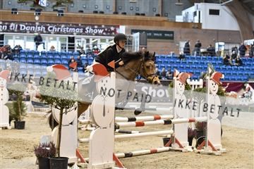 161006_abo_01__D051146.JPG