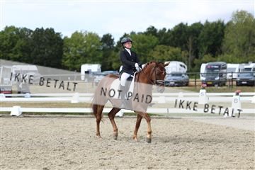 181894_mtp_05_R62_4686.JPG