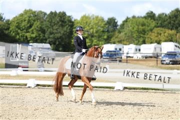 181894_mtp_05_R62_4513.JPG