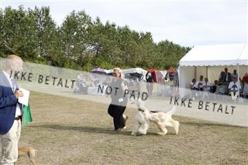 181848_kar_01__62_1309.JPG