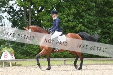 135518_ms_01_IMG_1545.JPG