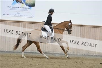 160111_nn_01__ESK1700.JPG