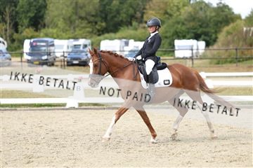 181894_mtp_05_R62_4469.JPG