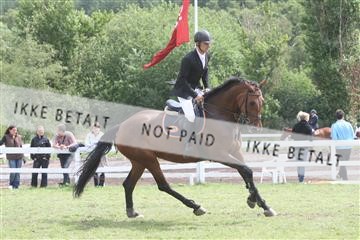 5925_ma_05_IMG_0882.JPG