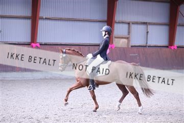 173883_mtp_01_3M5A0419.JPG