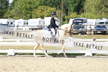 181894_mtp_05_R62_4596.JPG