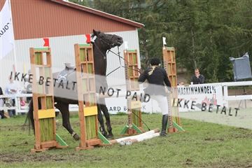 5925_ma_05_IMG_0720.JPG