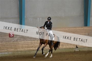 144288_abo_02__AB22864.JPG