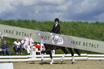 136195_abo_01__AB16225.JPG
