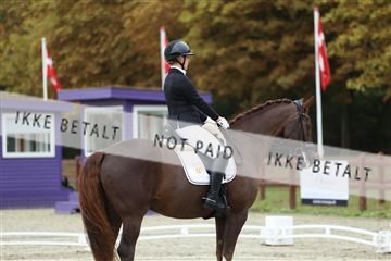 181923_mtp_02_R62_7032.JPG