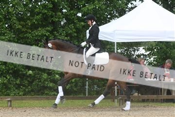 135518_ms_01_IMG_1254.JPG