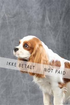 129608_le_ 01_0475.JPG