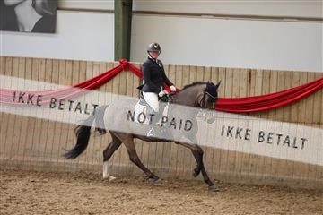 171342_mtp_01_3M5A7661.JPG