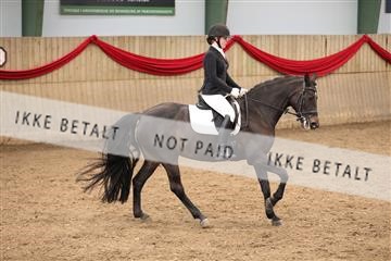 171342_mtp_01_3M5A7392.JPG