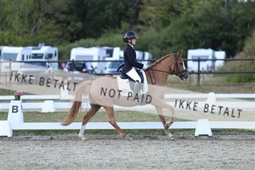 181894_mtp_05_R62_5095.JPG