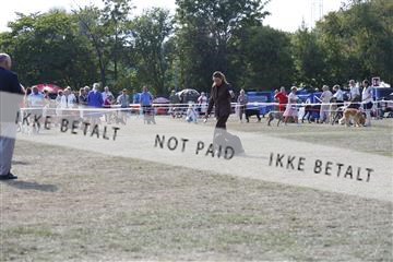 181848_kar_01__62_2560.JPG