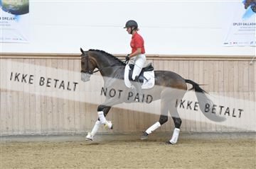 160111_nn_01__ESK1908.JPG