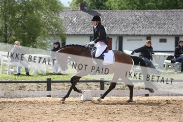 147698_nn_01_IMG_0042.JPG