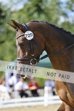 136195_abo_01__AB16078.JPG