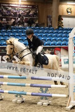 175934_avh_02_6946.JPG