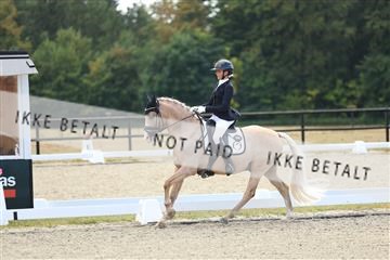181894_mtp_02_R62_1670.JPG