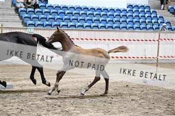 181754_kbb_01_Z093024.JPG
