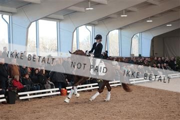179022_kbb_01_R6II2570.JPG