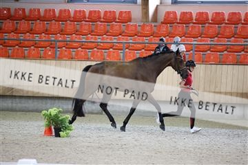 175139_bc_03_R62_4221.JPG