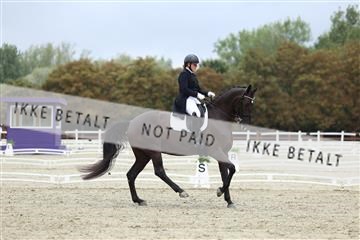 181923_mtp_04_R62_8504.JPG