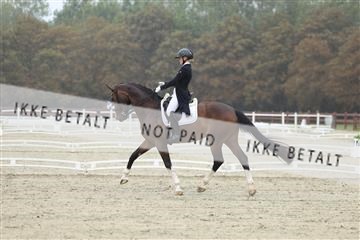 181923_mtp_03_R62_7564.JPG