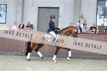 181852_mtp_04_R62_2995.JPG