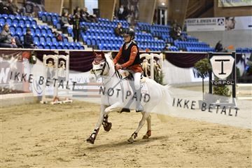 161006_abo_01__D052072.JPG