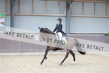 174313_mtp_01_3M5A6025.JPG