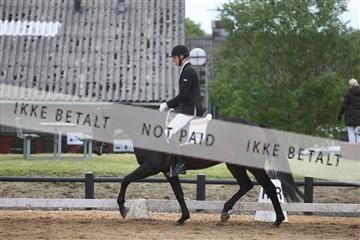 147698_nn_01_IMG_0051.JPG