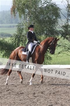 135676_sg_01_IMG_7378.JPG