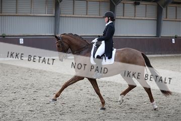 171210_mtp_01_3M5A6903.JPG