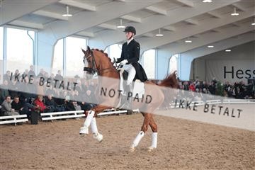 179022_kbb_01_R6II2985.JPG