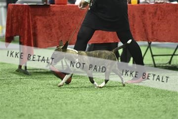163793_bkn_01__BKN9025.JPG