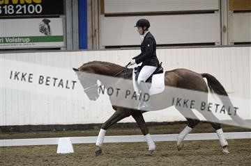 141472_abo_01__AB15579.JPG