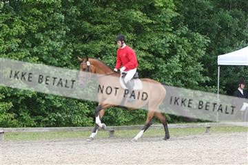 135518_ms_01_IMG_1529.JPG