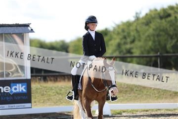 181894_mtp_05_R62_4893.JPG